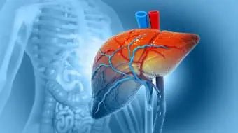 Liver - Corrigo Homoeopathy